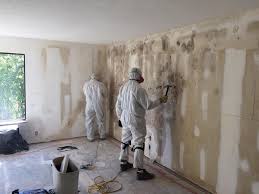 Best Emergency Mold Remediation  in Wind Gap, PA